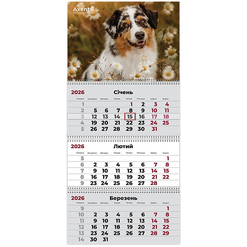 Календар настінний квартальний 2026 Axent Dogs 1 8803-26-16-A, 3 пружини