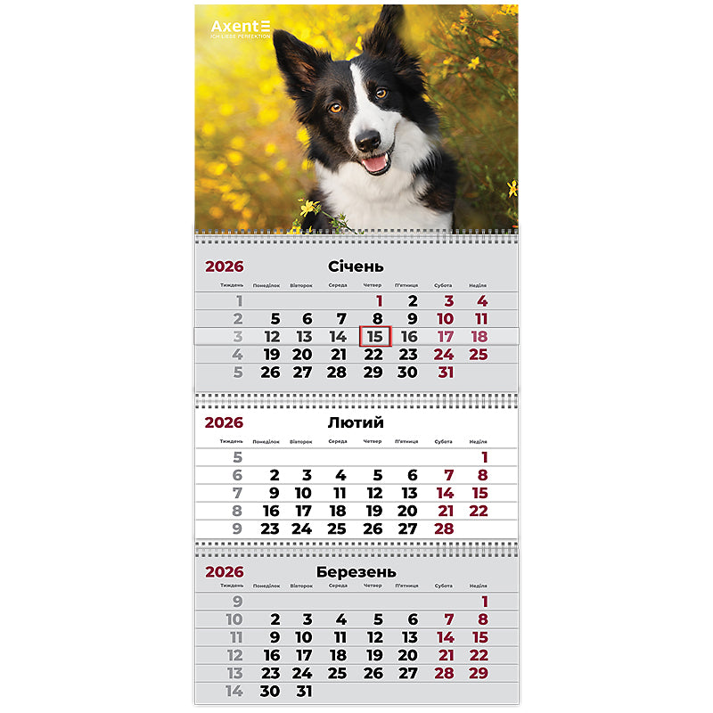 Календар настінний квартальний 2026 Axent Dogs 3 8803-26-18-A, 3 пружини